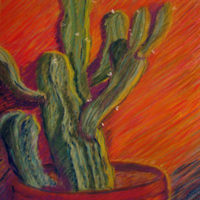 Dry Heat Cactus FNL copy