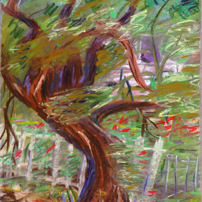 Mesquite 4th Ave 8x10