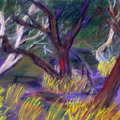 Shady Glade Enhamced ii